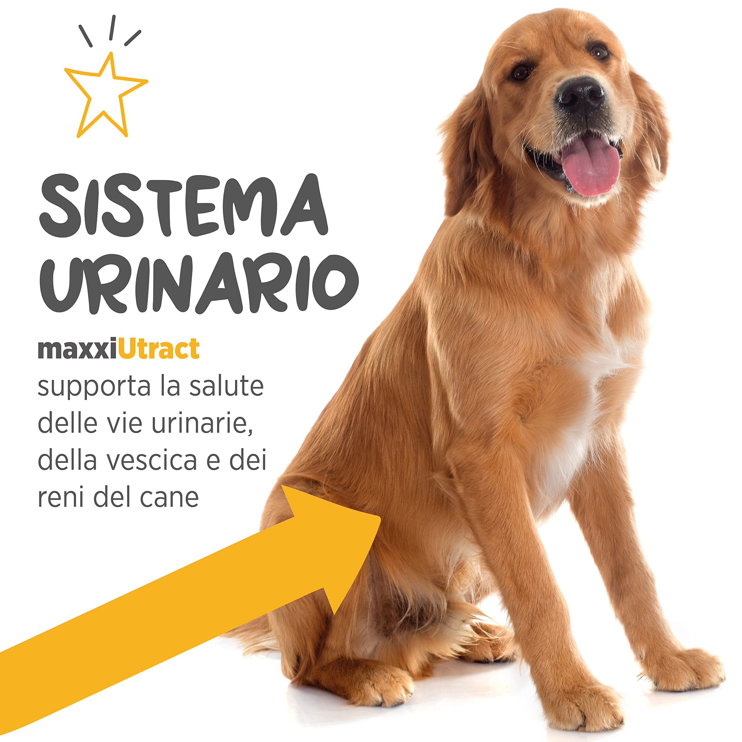 maxxipaws maxxiUtract Benessere Urinario e della Vescica - Integratore in Polvere per Cani, 150g