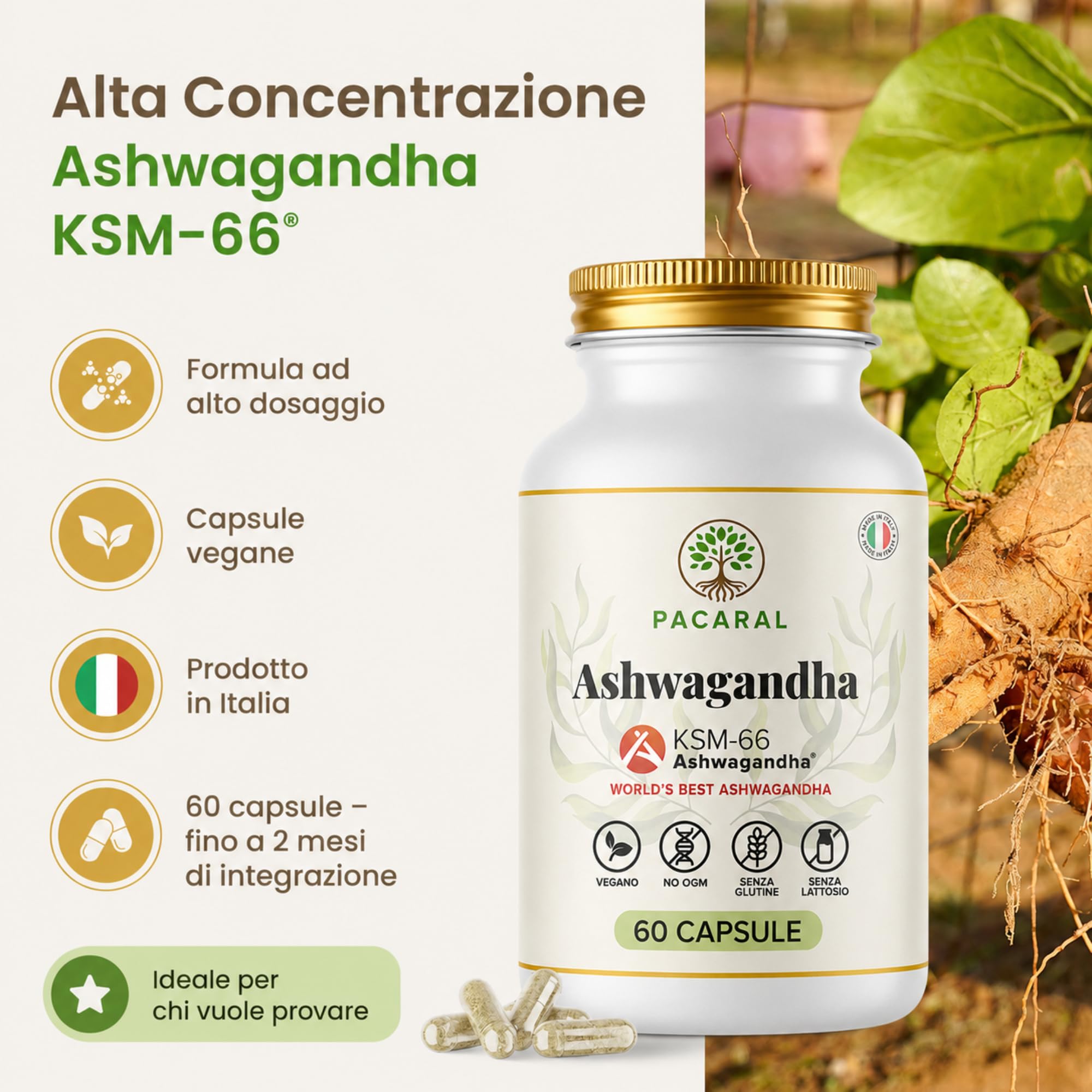 Ashwagandha KSM-66 Alto Dosaggio Pura - 180 Capsule Vegane fino a 6 Mesi di Scorta, Integratore 5% Withanolidi – Stress, Sonno, Benessere, Withania Somnifera - Prodotto in Italia PACARAL