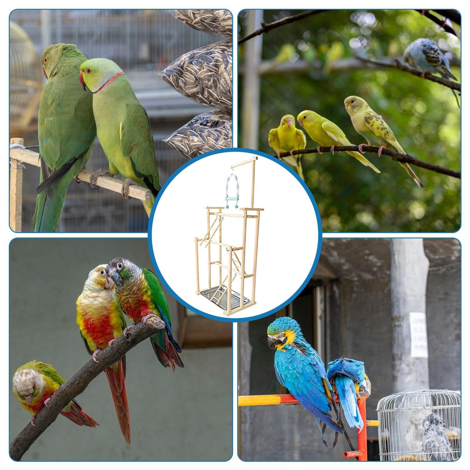 Parque de juegos para loros, parque de juegos para loros, parque de juegos de gimnasia para juegos, soporte de gimnasia, gimnasia para pájaros, parque para loros, periquitos, periquitos,