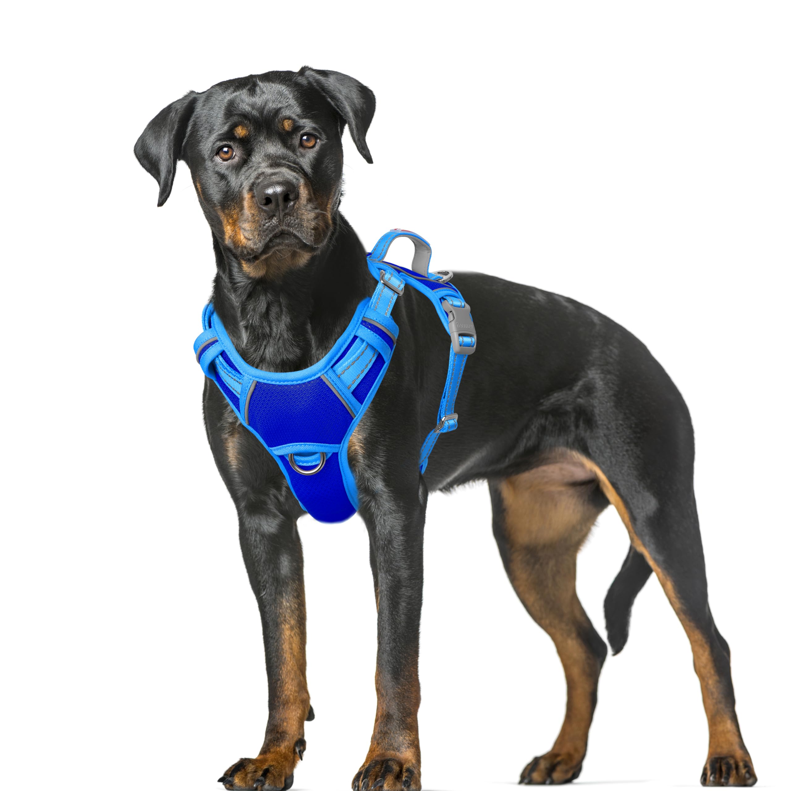 BARKBAY No Pull Dog Harness Large Reflective Dog Harness with Front Clip and Easy Control Handle for Walking Training Running with ID tag Pocket(Sapphire Blue & Blue,XL) — image 1