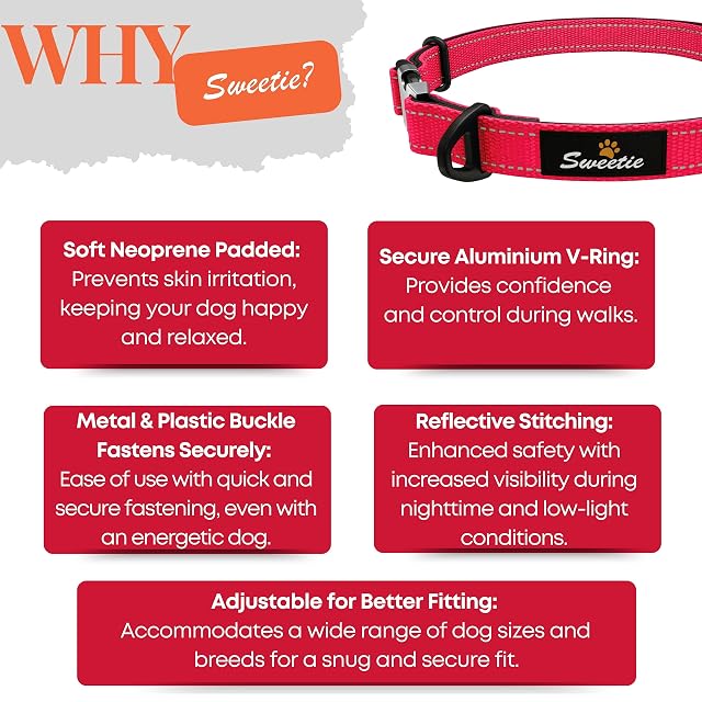 Foto 4 de 8 de Sweetie Collar para Perros Acolchado Neopreno - Reflectante, Anillo Aluminio Anti-Óxido, Antitirones