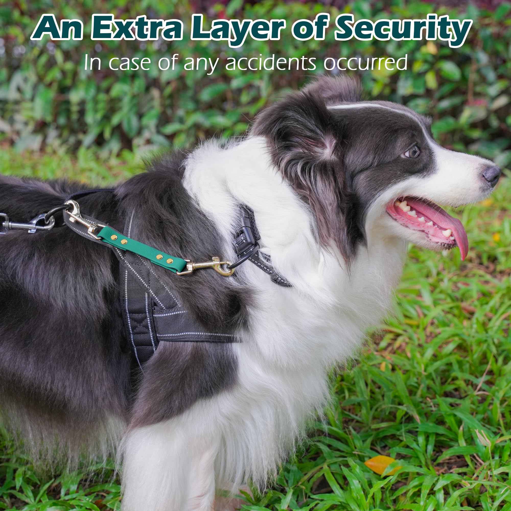 PetBonus Dog Collar Safety Clip - Image 4