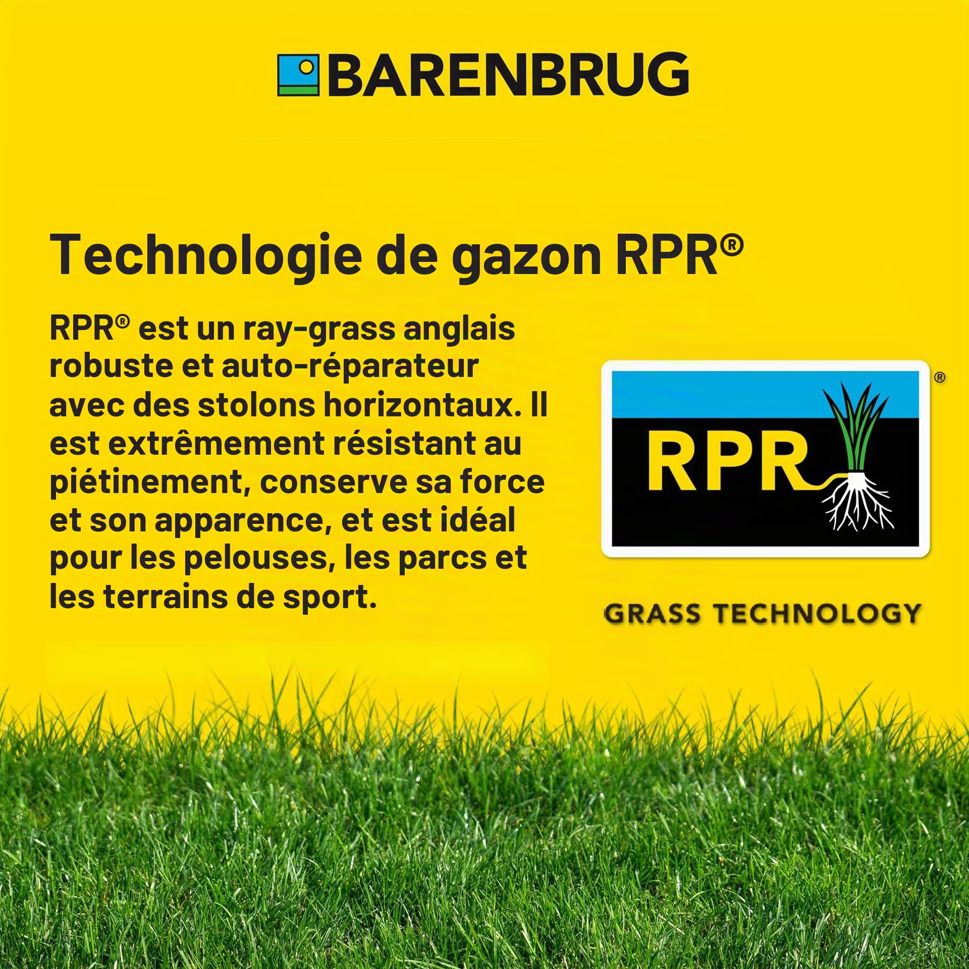 Herbe d'été Barenbrug auto-épaississant RPR Pelouse Sport Play & Sport 15kg