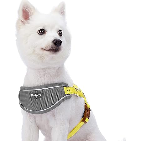 plush dog harness amazon