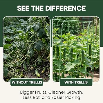 50x50 Cucumber Trellis for Raised Bed- A Frame Vegetable Garden Trellis
