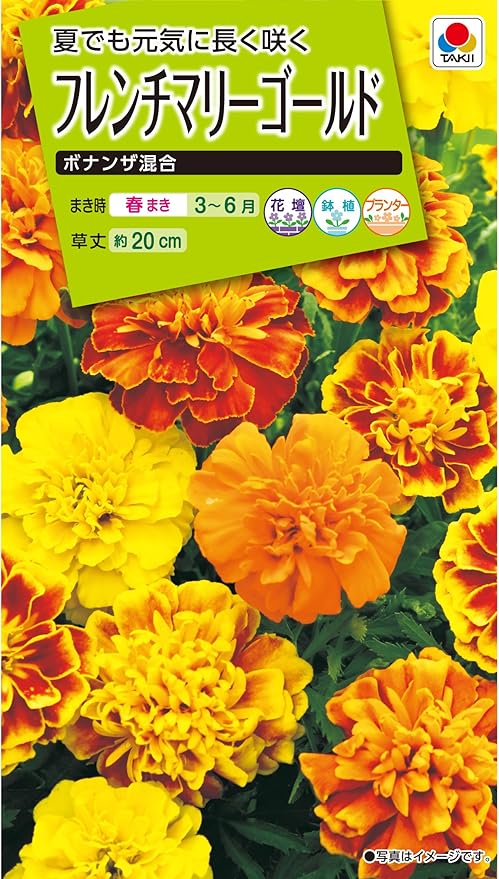 Amazon タキイ種苗 フレンチマリーゴールド ボナンザ混合 花