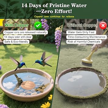 TIANCENTRAL H Bird Bath Copper Disk-99.99% Pure Copper Cleaning Disk with Triple-Point Support 1mm Reinforced Water Purification Disk for Bird Baths, Bowl(4 Inch)