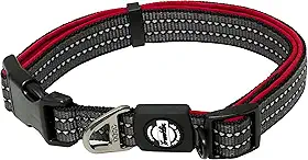 Franklin Pet Supply Co. – Coleira de nylon para cães – Conforto reflexivo – Ajuste – Neoprene – Ajustável – Pequeno– Médio – Grande – Cachorrinho – Cachorro – Gato – Clipe fácil