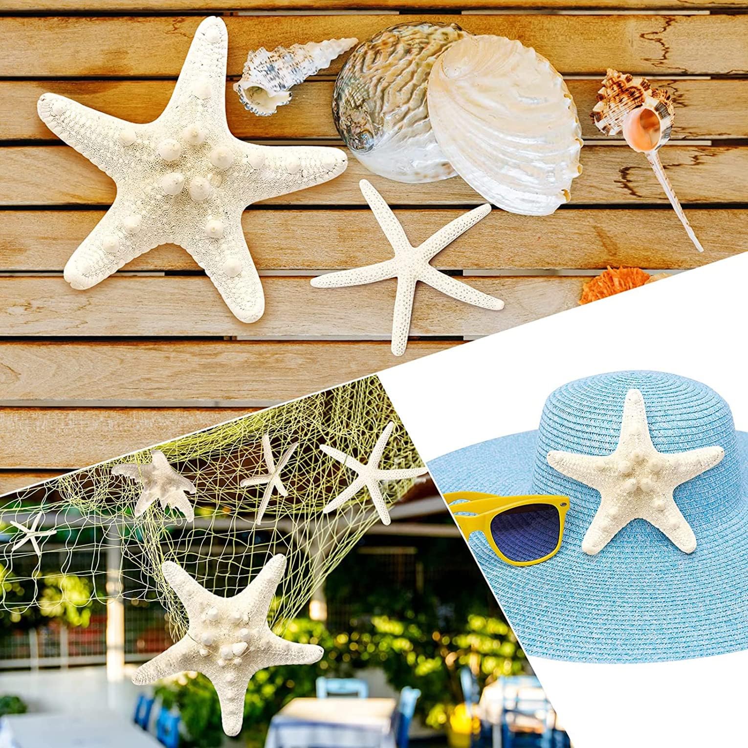 ELECDON 12 PCS Natural Starfish 2.5-6 Inch Decor for Crafts, Beach Theme Party, Wedding Decoration, Home Wall Decor, Ornaments, Fish Tank