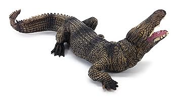 イリエワニ　根付　開口 イリエワニ 根付 開口 上野動物園［公式］ on X: