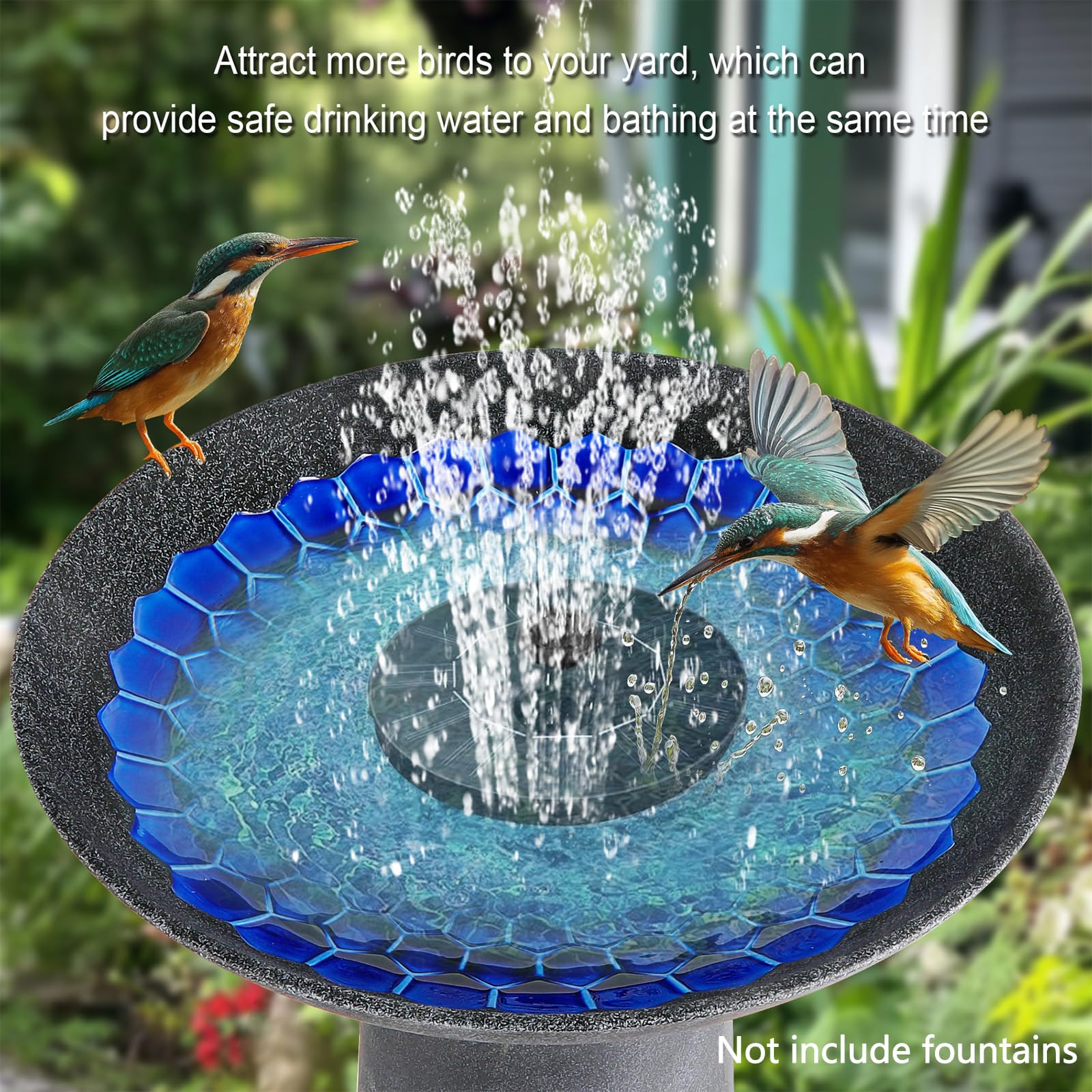 Bird Baths to Attract Birds: Ultimate Guide for a Lively Garden