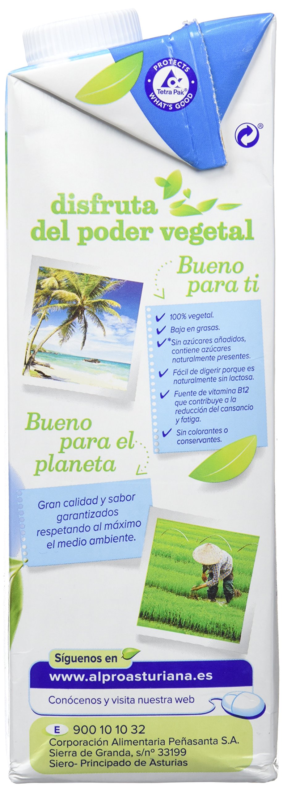 Alpro Central Lechera Asturiana Bebida de Coco con Arroz - 6 x 1000 ml