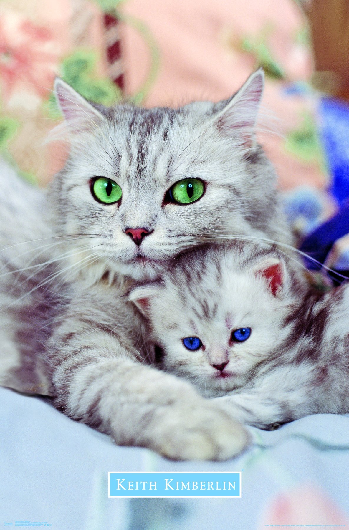 Trends International Keith Kimberlin - Momma and Kitten Wall Poster, 34L x 22.4W, Unframed Version