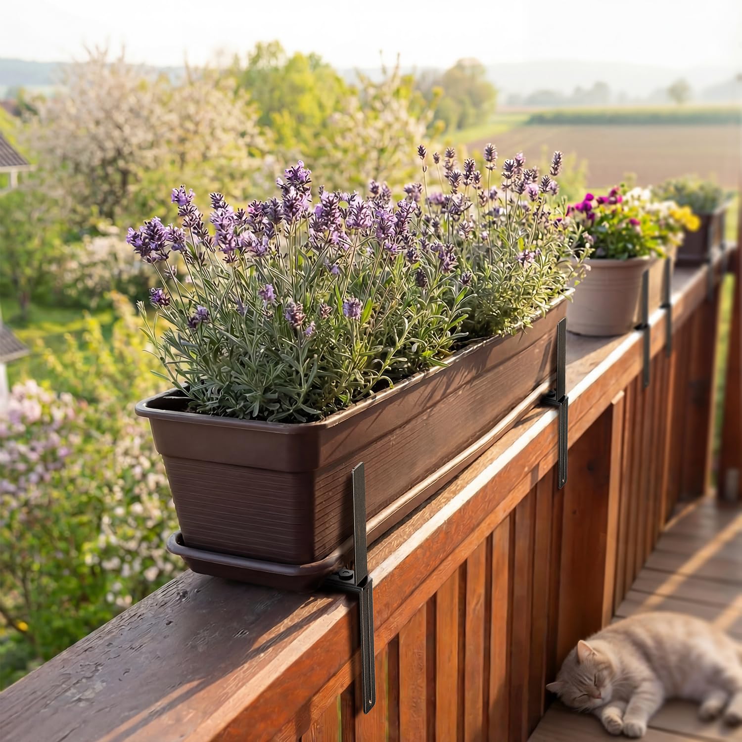 View 8