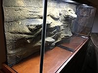 Review Image by DanaLynn DanaLynn