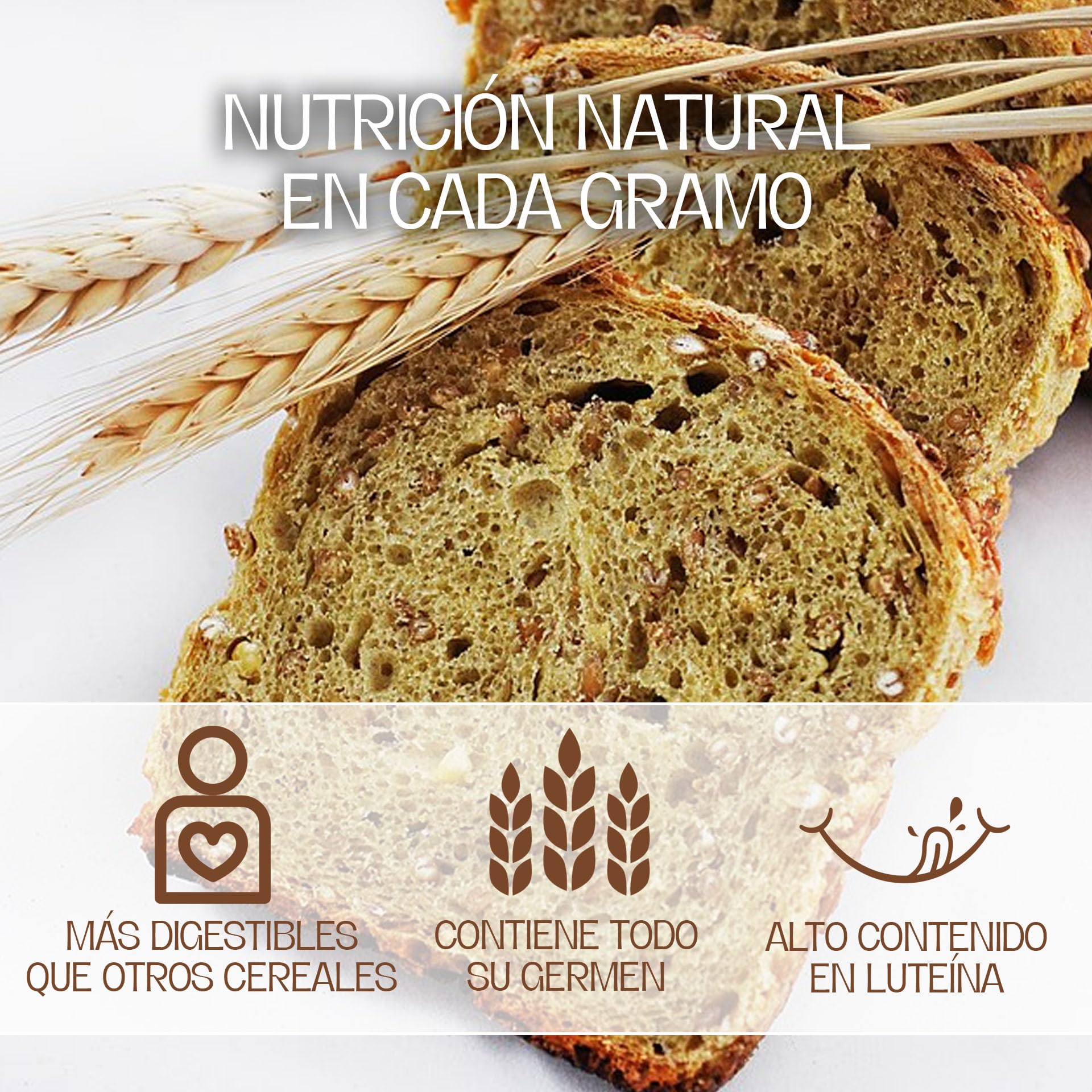 Harina de Tritordeum Ecológica Integral | Combinación de Trigo Duro y Cebada Salvaje | |Natural y Nutritiva | Ideal para Pan Artesanal saludable | Fácil de Digerir y con un Color atractivo | 25 Kg