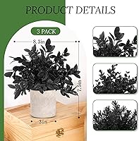 Vista 3 de Der Rose Paquete de 3 mini plantas falsas en maceta, plantas artificiales de eucalipto de plástico para el hogar, oficina, escritorio, granja, Negro
