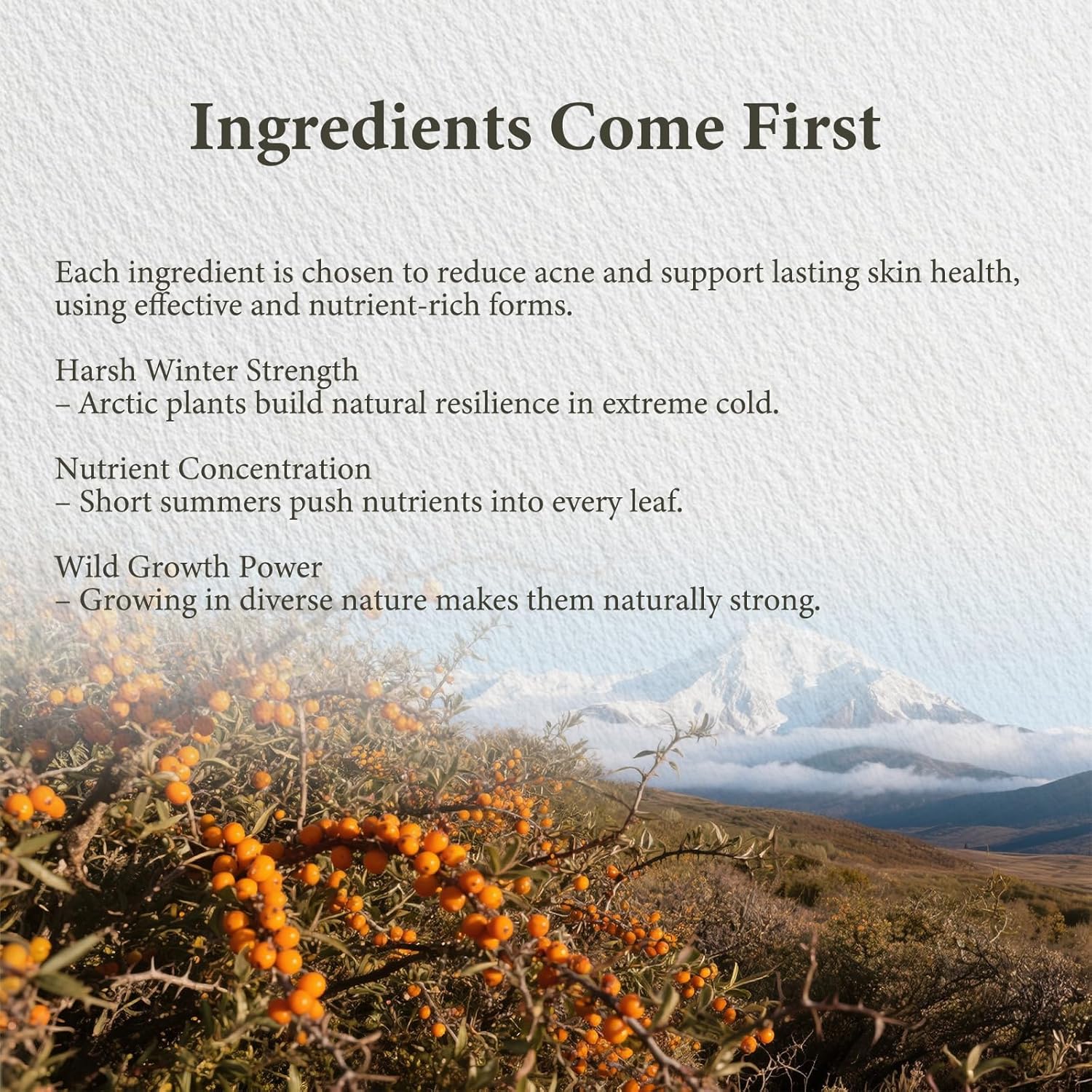 Organics Acne Killer Day Balm 2.0 – Natural Botanical Acne Treatment for Face, Body & Back | Reduces Pimples, Blackheads & Redness | Balancing, Hydrating & Non-Comedogenic Formula (1PCS, 50ml) - Image 8