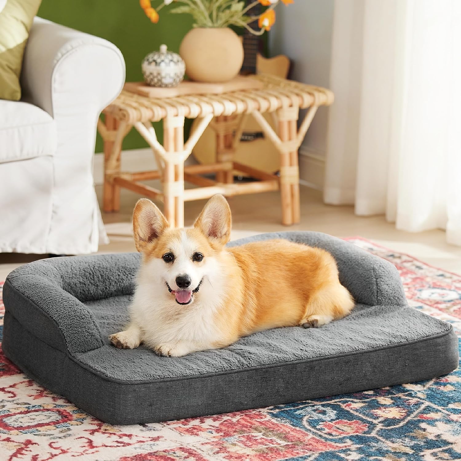 See full amazon price history chart for ROYALS RORE Dog Beds Orthopadic XXL Bed Waterproof Layer for Labrador, Bulldog, Retriever, Poodle, Large Breed dogbed 47X29X4 Black) ROYALS RORE Dog Beds Orthopadic XXL Bed Waterproof Layer for Labrador, Bulldog, Retriever, Poodle, Large Breed dogbed 47X29X4 Black) (B0CWVRX7F5) Amazon Price History, Amazon Price Tracker