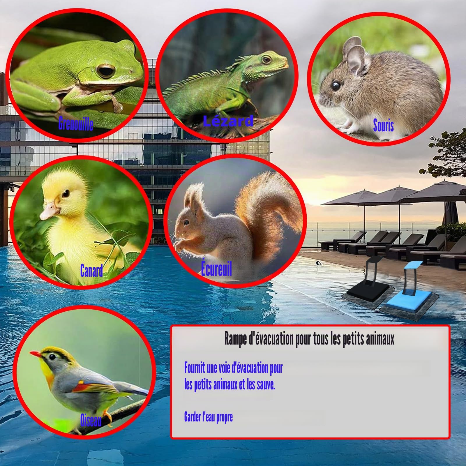 Omobolanle Lot de 2 rampes d'évacuation flottantes pour animaux de piscine, pour sauver les petits animaux qui entrent dans la piscine, grenouille, canard, tamia, souris, temps d'entretien réduit pour