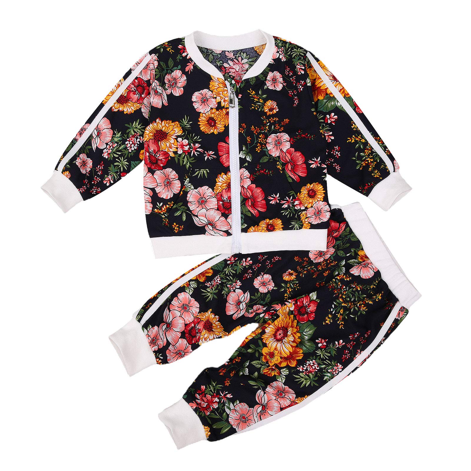 Toddler Kids Baby Girls 2PCS Set Hoodie Sweatshirt Top + Floral Pants Outfit Fall Winter Clothes (A, 2-3T)