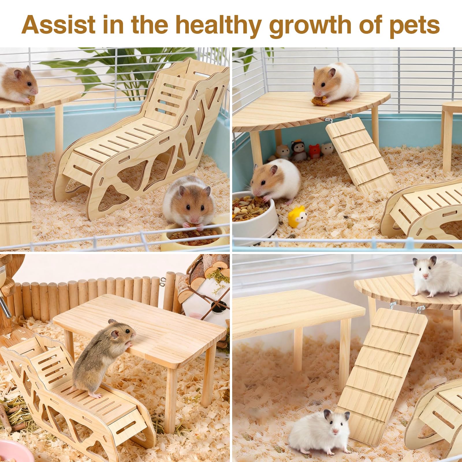 View 7