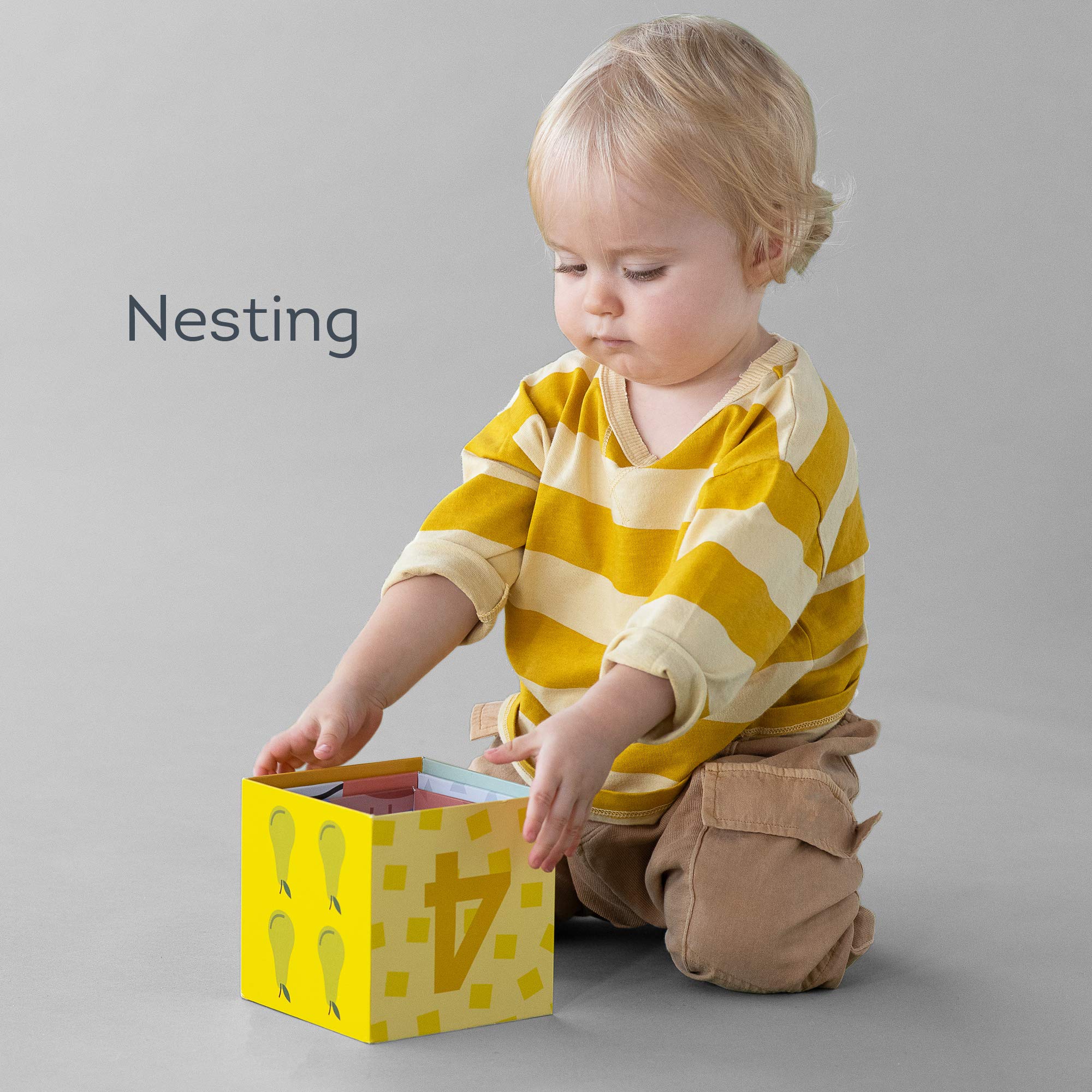 Taf Toys 12725 - Scatola delle Forme Savana