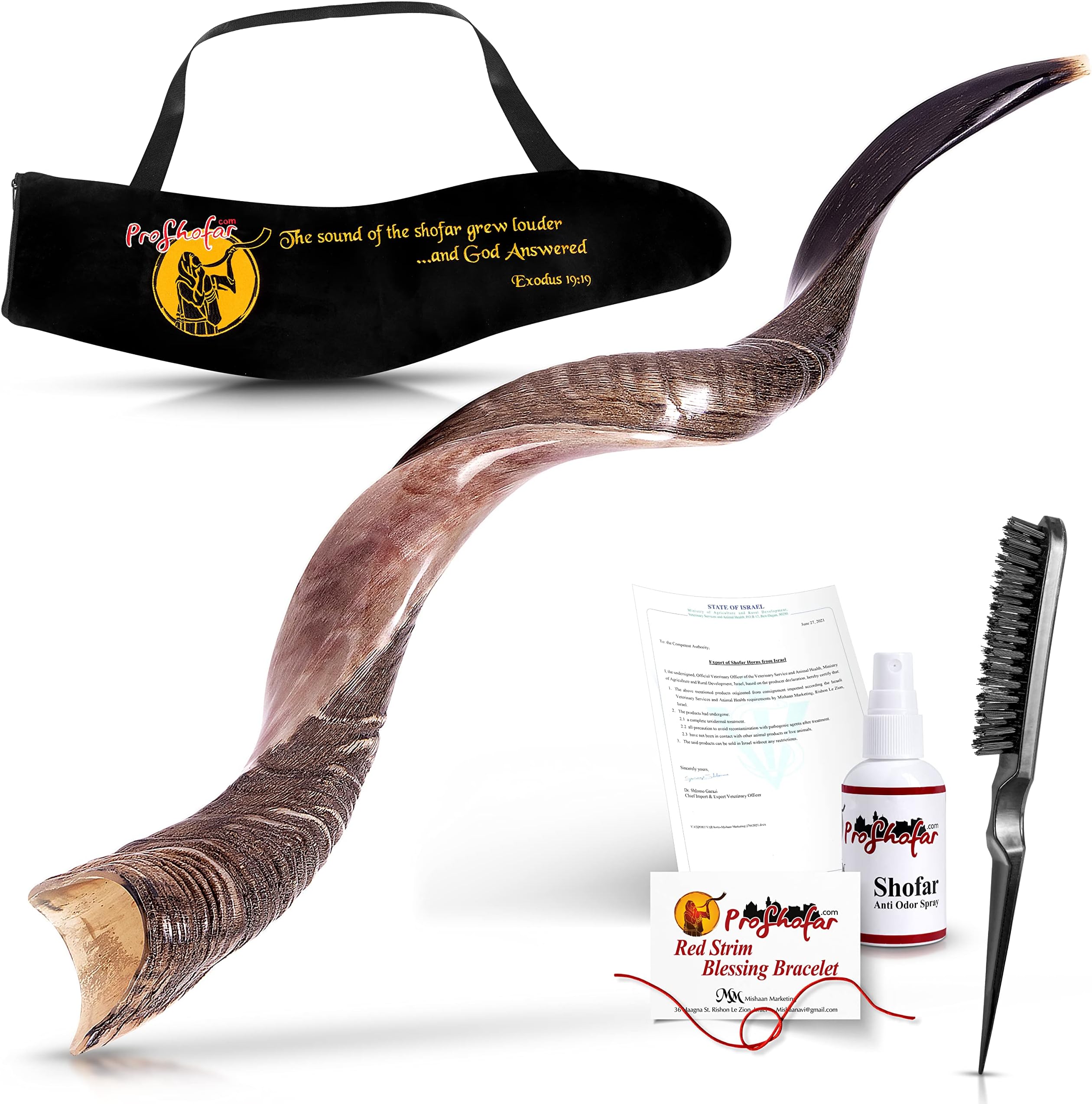 Sale 3 Shofars Kudu Yemenite RAM Gemsbok Oryex Horn Shofar