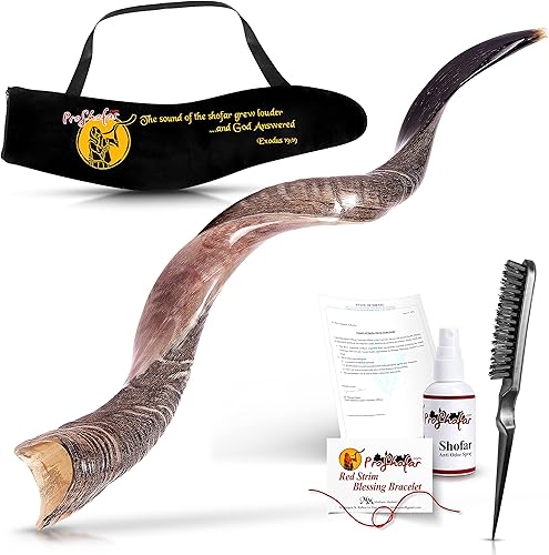 Juego de Shofar Kosher medio pulido de Israel, bolsa Plus, certificado oficial, cuerno de shofar kosher fabricado en Israel