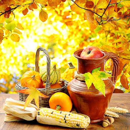 Live Thanksgiving Wallpaper