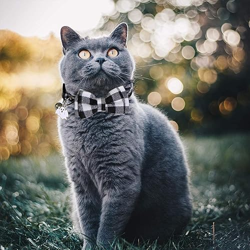 Vista 7 de STMK Paquete de 3 collares de gato de Halloween con campana de corbatín, collar de gato con campana, corbatín de calabaza, fantasma, para Halloween