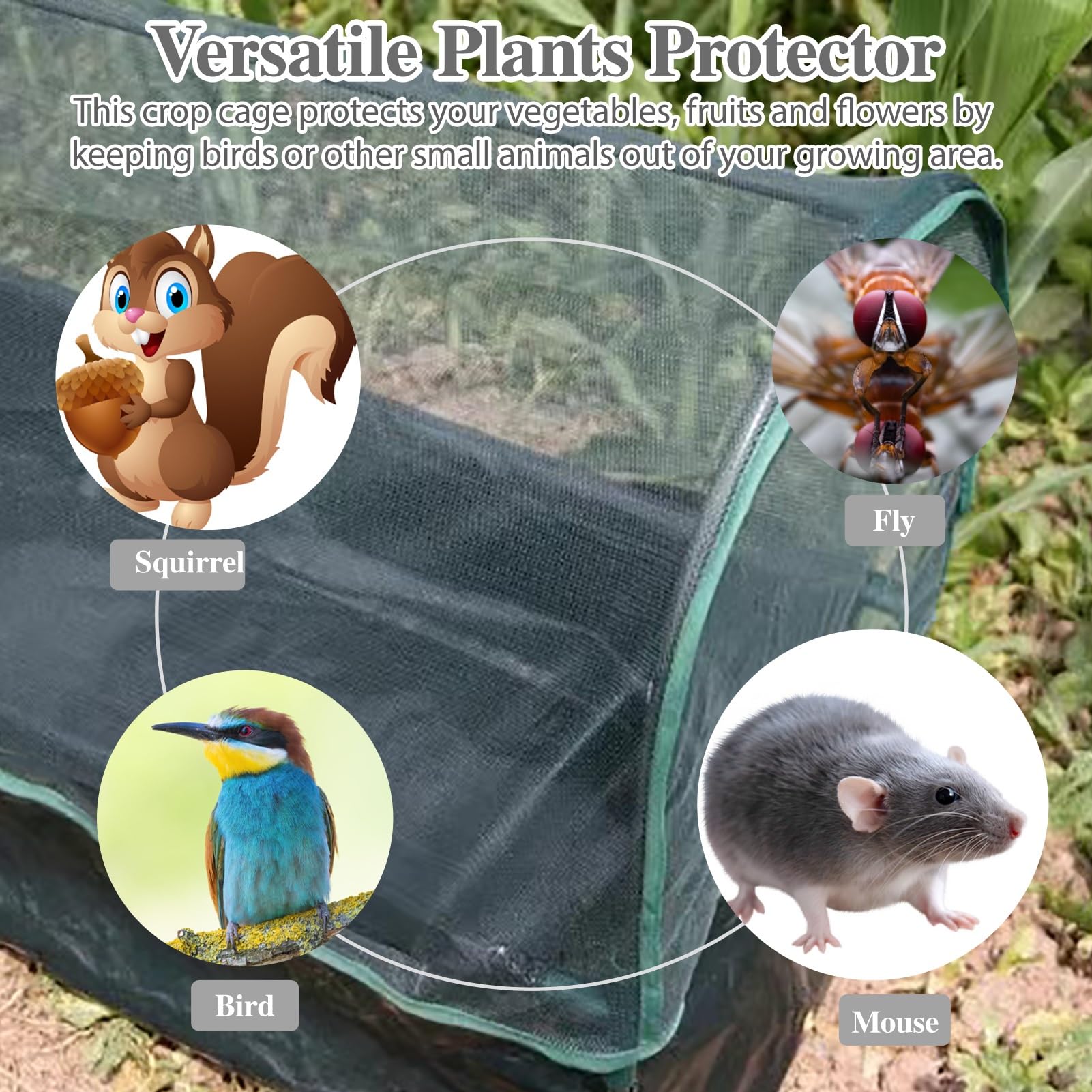 Rete Anti Insetti Gabbia per Orto con Rete da Giardino, Coperture per Piante in Rete per Frutta e Fiori All'aperto, Copertura per Aiuola con Telaio Antivento