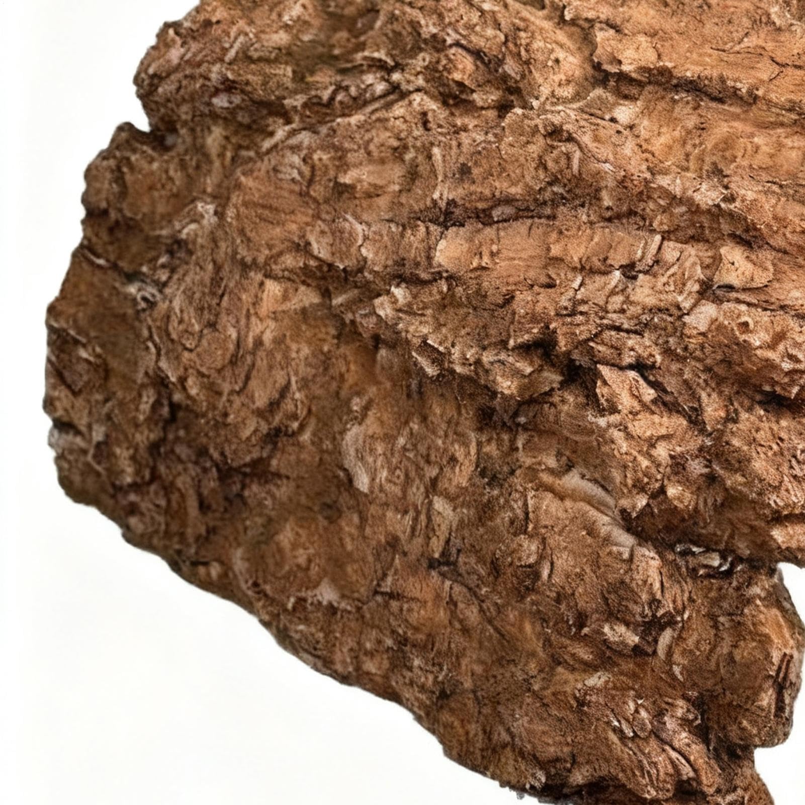 Nascondigli E Grotte Per Rettili Rifugio Caverna In Resina | Habitat Realizzato Per Tartarughe Per Acquario Vasca Drago Barbuto Tartaruga Leopardo Gechi Rettili Anfibi Serpente