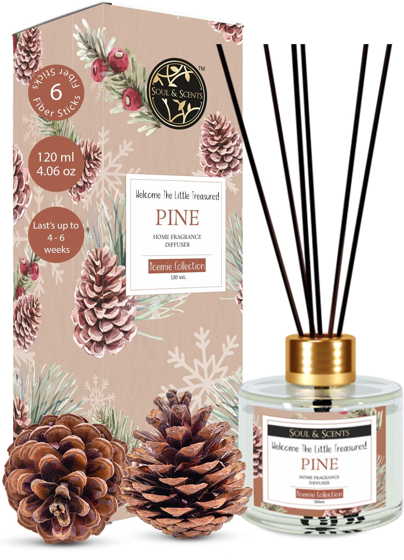 Soul & Scents Pine Reed Diffuser Set With 6 Fiber Reed Sticks |Toxin Free & Stress Relief, Fine-Living Natural Fragrance, Smoke Less Room Freshener, 120 Ml (Pack of 1, Tranparent)