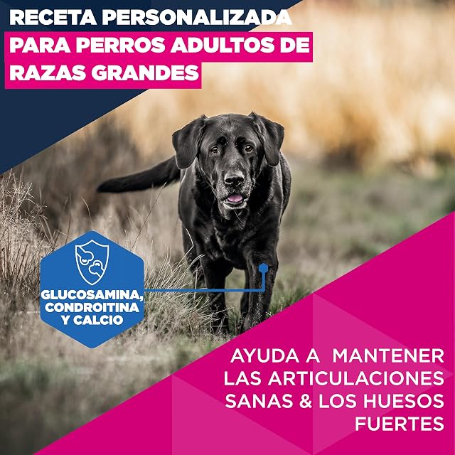 Foto 3 de 8 de Eukanuba, alimento seco para Perros con Pollo Fresco para Razas Grandes