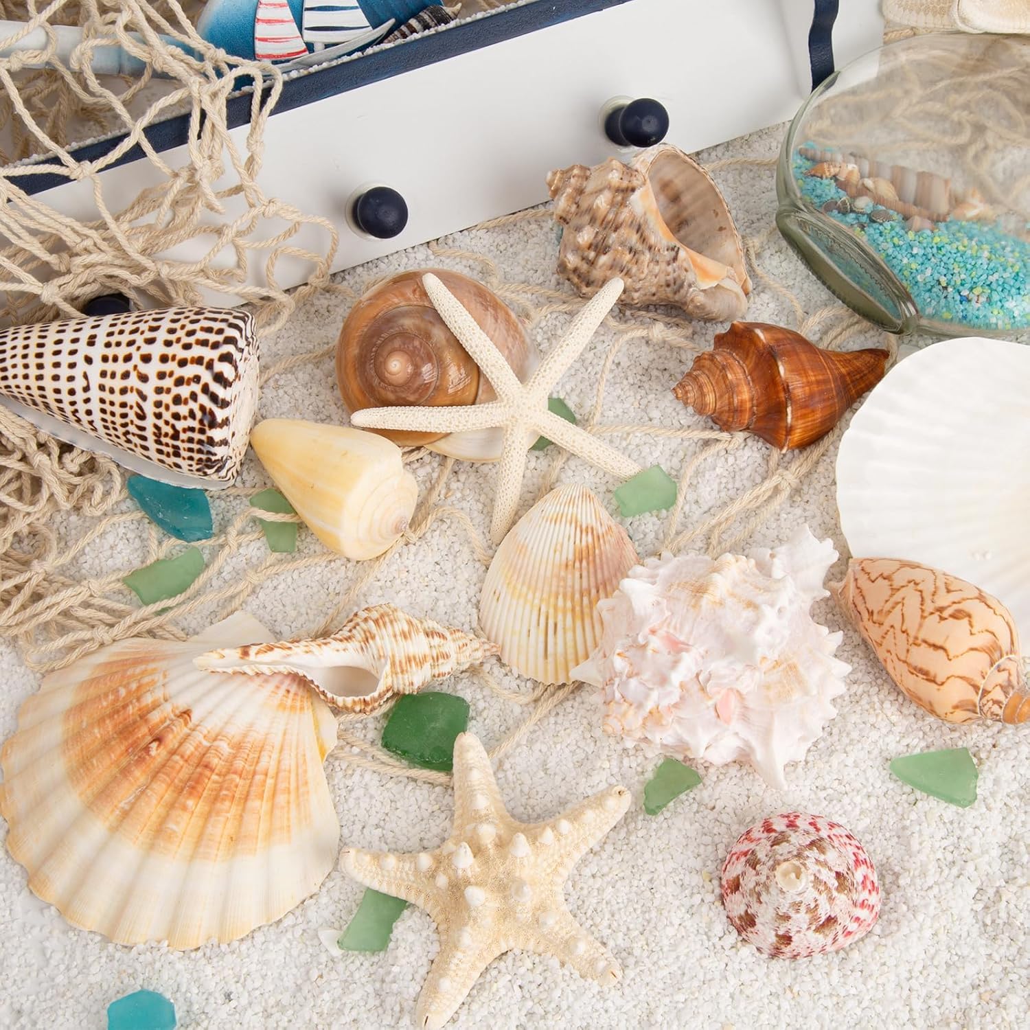 Conchiglie marine per decorare 15 conchiglie grandi a forma di stella marina per feste in spiaggia, riempitivi per vasi, decorazioni per la casa, artigianato fai da te, bagno, decorazioni per acquari