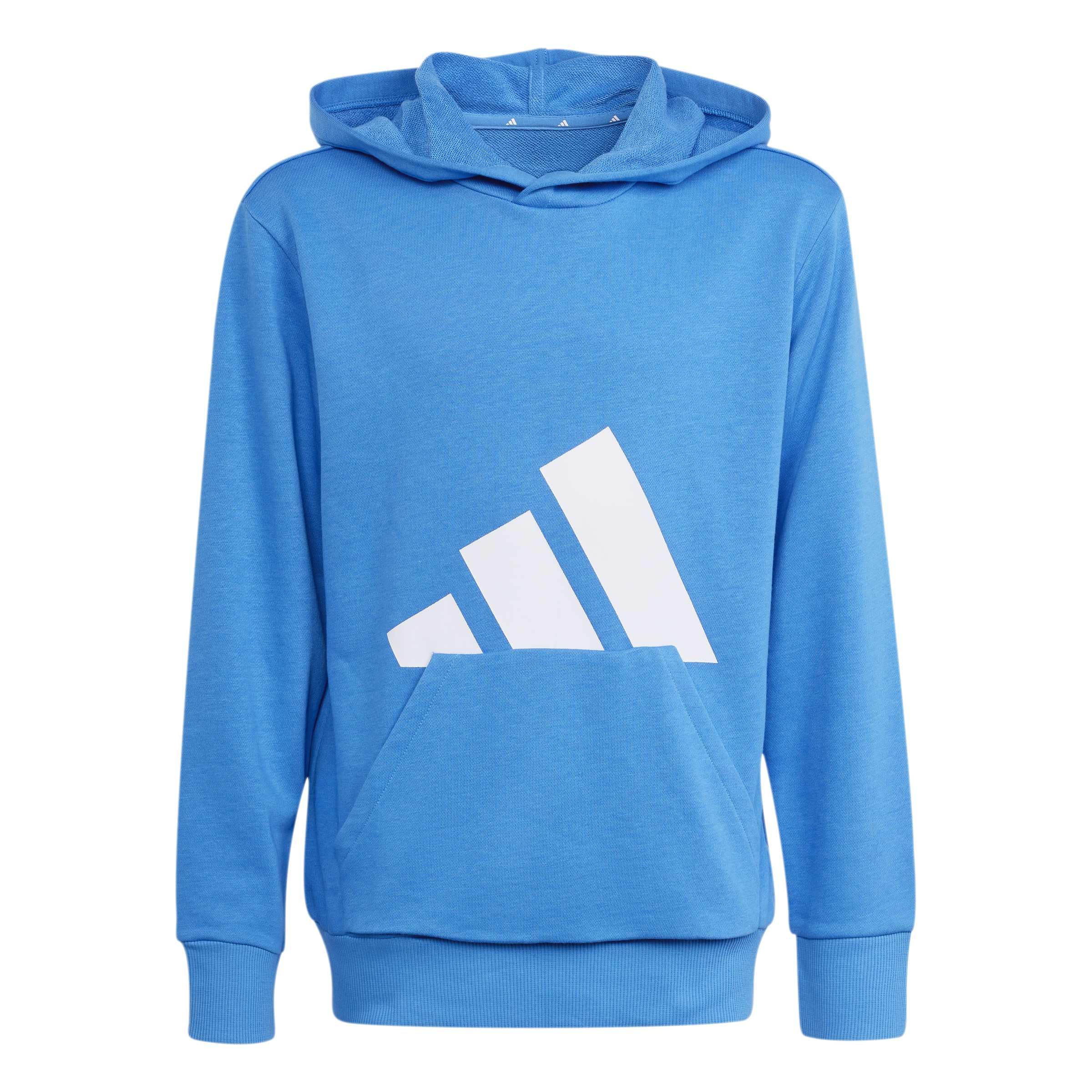 adidas Unisex Kids ESSENTIALS BIG LOGO HOODIE, ray blue/white, 9-10 Years