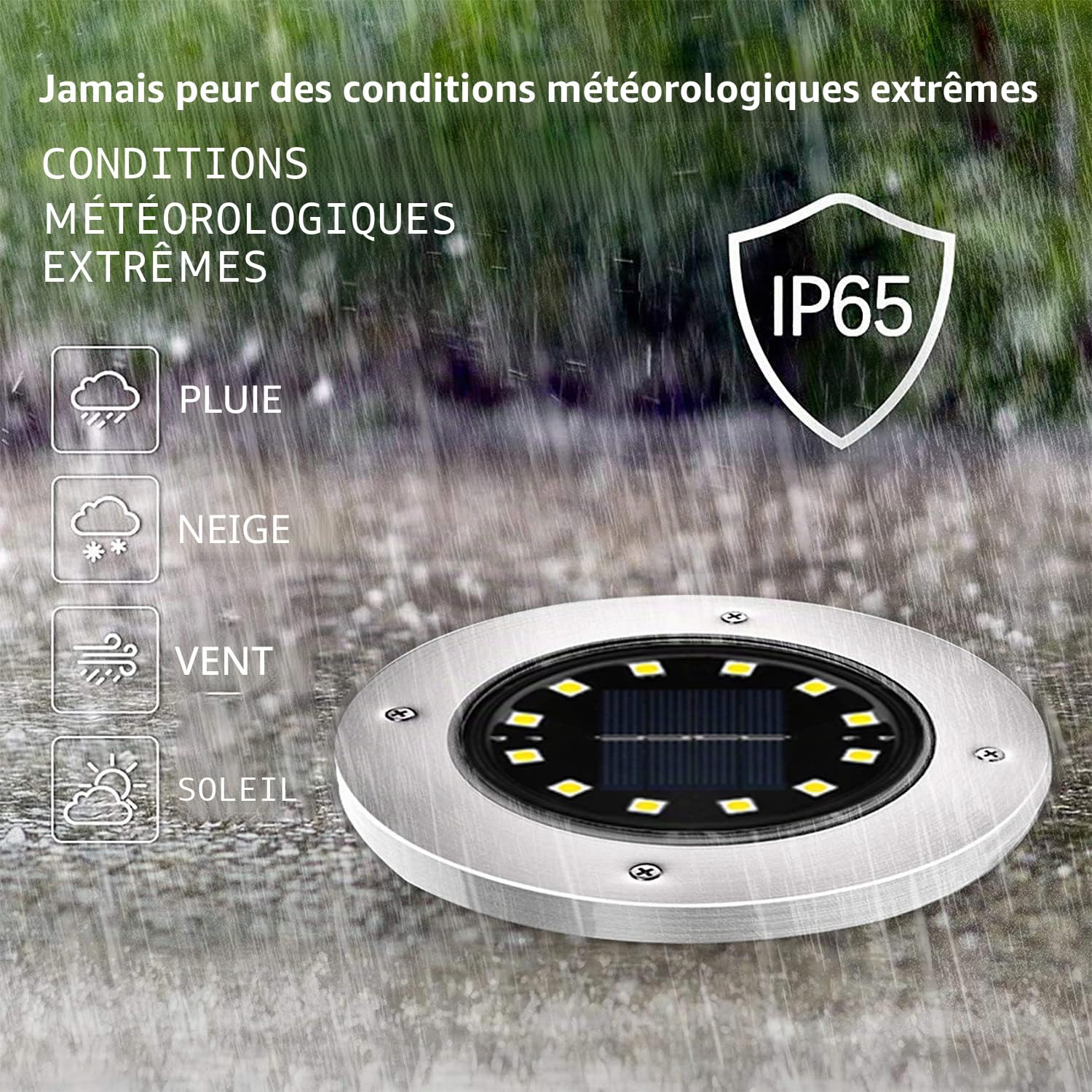 Lot de 12 lampes solaires d'extérieur - 12 LED - 800 mAh - Avec panneau solaire mis à niveau - Lampe de jardin - Spot décoratif pour pelouse, trottoir, piscine, terrasse (blanc froid)