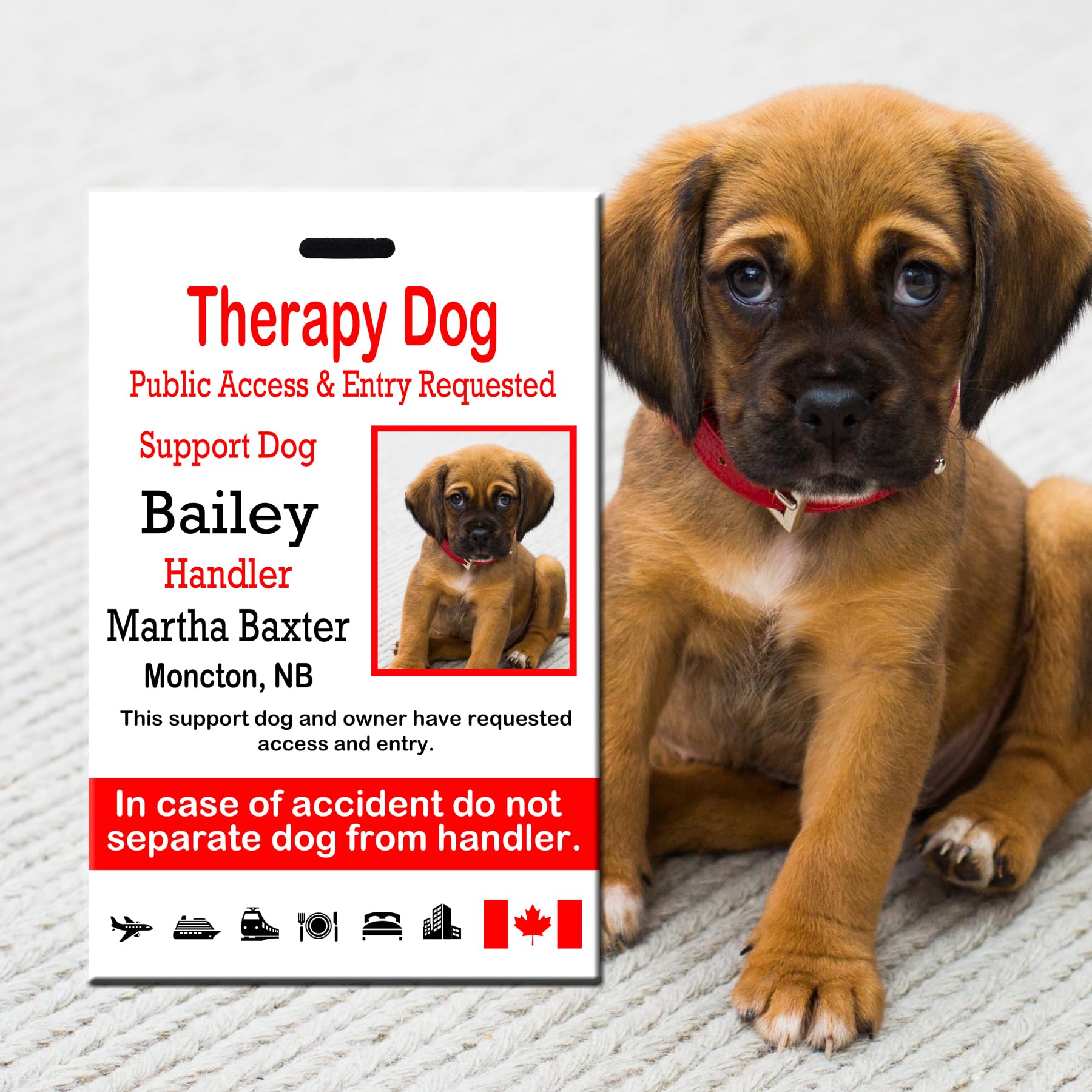 8-Quart Digital Air Fryer