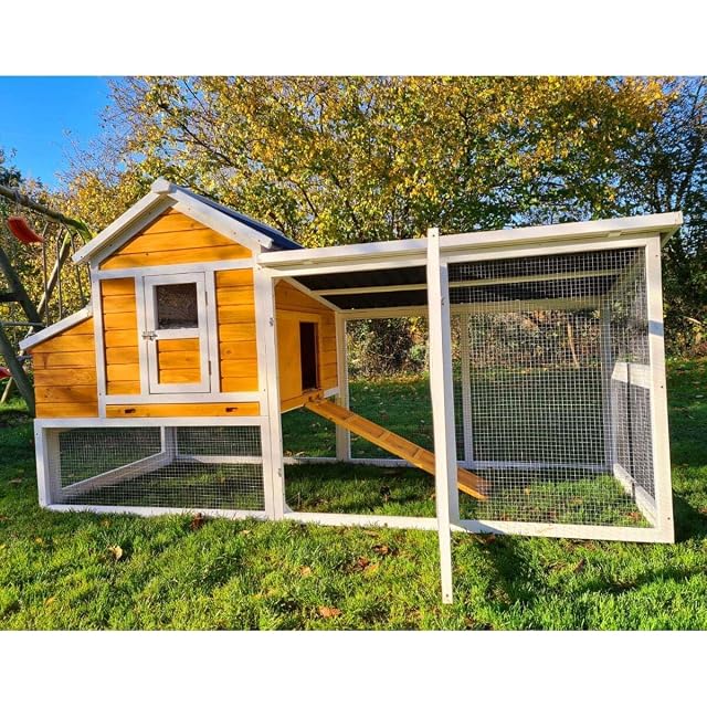 Foto 3 de 8 de Animal Valley - Gallinero de techo reforzado, tejado de plástico de 6 a 8 gallinas, 2,36 x 1,1 x 1,24 m
