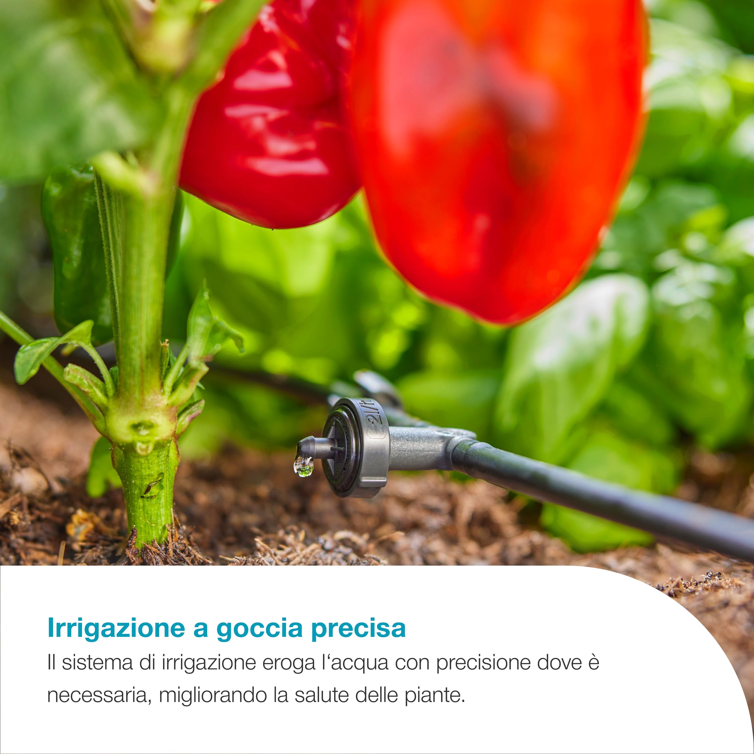 Gardena AquaBloom L Set, sistema di irrigazione autosufficiente per balconi, terrazze e aiuole rialzate, senza allacciamento idrico o elettrico, fornisce fino a 30 piante (13330-20)