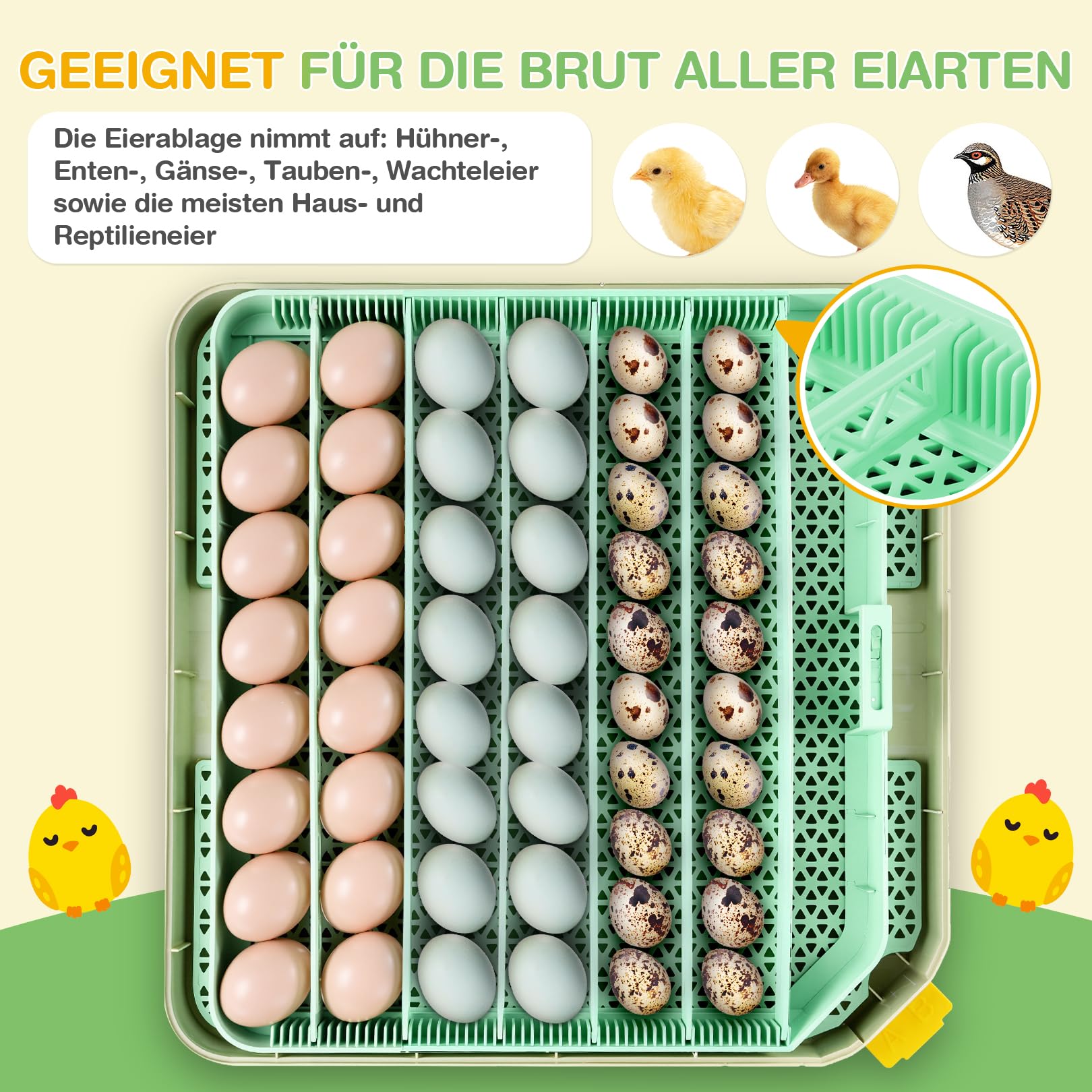 Sailnovo Couveuse Oeuf Automatique 48 Oeufs, Incubateur Oeuf Automatique avec Retournement Automatique des Oeufs et Humidification Automatique, Couveuse Incubateur œufs de Poule, Caille, Canard, Vert