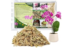 Sukh Sphagnum Moss for Plants: Enhance Plant Health and Aesthetics
