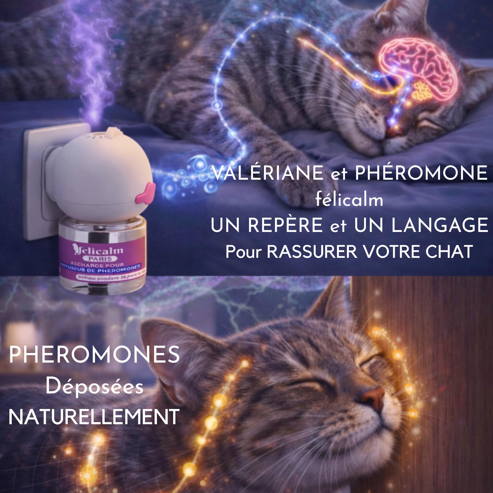 Diffuseur Chat Valériane + Phéromones sans Odeur- Double Action Apaisante, 2 Recharges 60 J de Calme