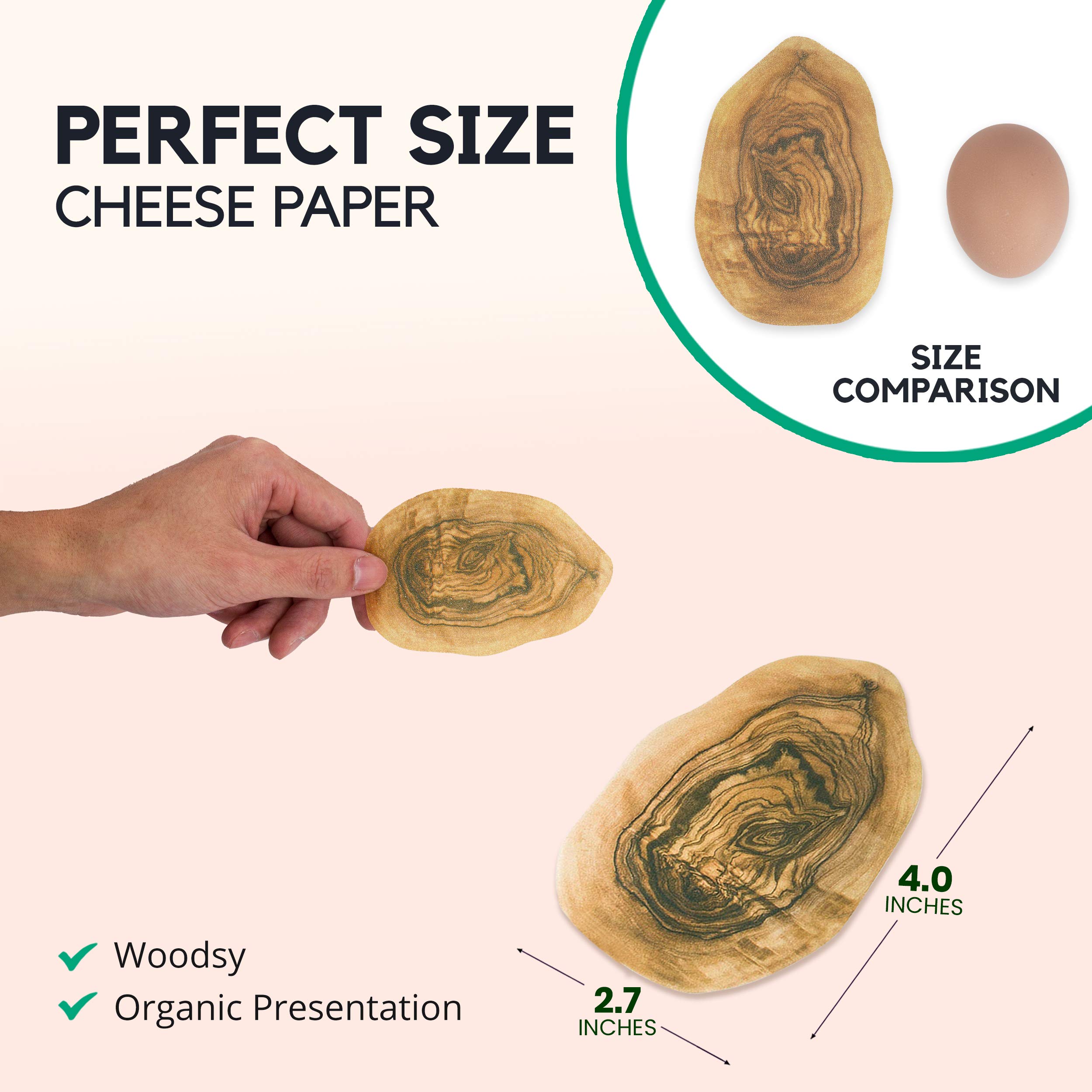 Buy [25 Pack] Olive Wood Cheese Paper for Charcuterie Boards 4 x 2.7
