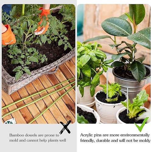 Vista 6 de Zopeal 200 palitos acrílicos para tartas, palitos de dulces para bodas, Halloween, Navidad, dulces, pasteles, chocolate, galletas, postres, hechos a