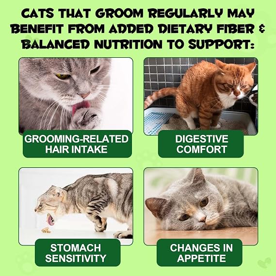 Cat Grass Treats, Freezed Drying Cat Grass Teething Stick Snacks for Kitty, Organic Grass Treats for Indoor Cats, Hairball Relief & Teeth Cleaning, Natural Snacks with High Fiber Formula 80g