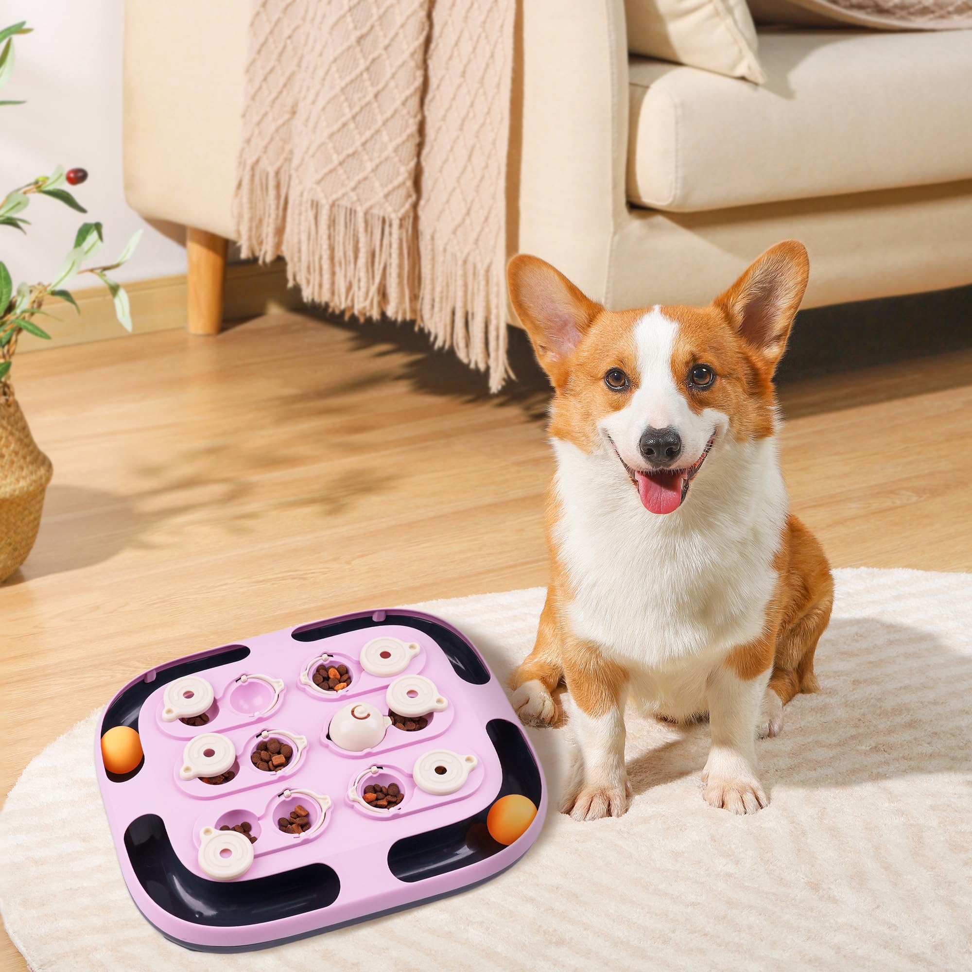 LACCEN Giochi Interattivi per Gatti, 2 in 1 Gioco per Gatto con Palla Traccia, Divertenti Giocattolo Rompicapi per Gatto, Dispenser di Crocchette per Gatti in Casa da Soli