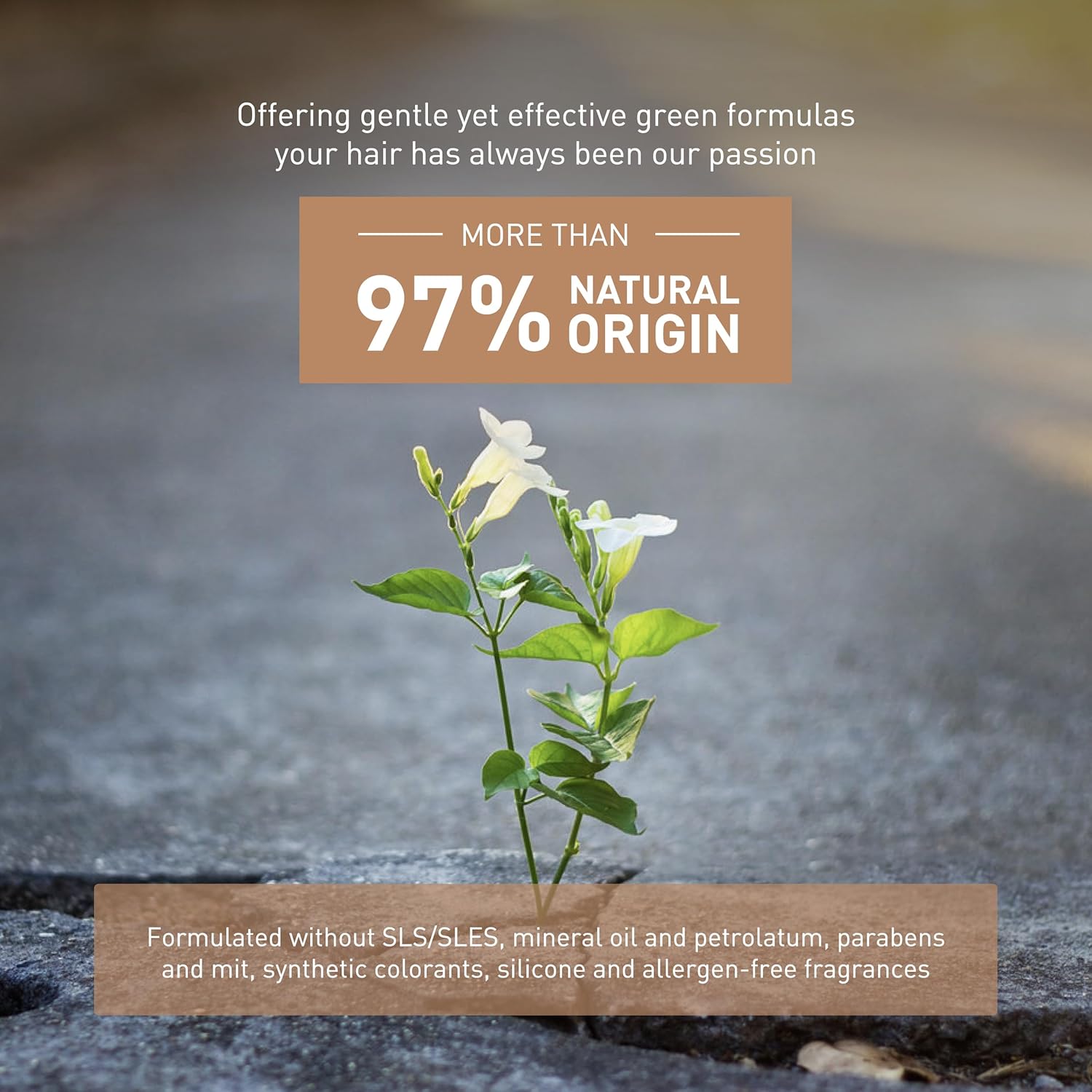 InSight Professional Shampoo for Sensitive Skin, 30.4 Fl. Oz. - Unscented, Sulfate Free, Dermatologically Tested, Vegan, Moisturizing for Dryness - Image 5