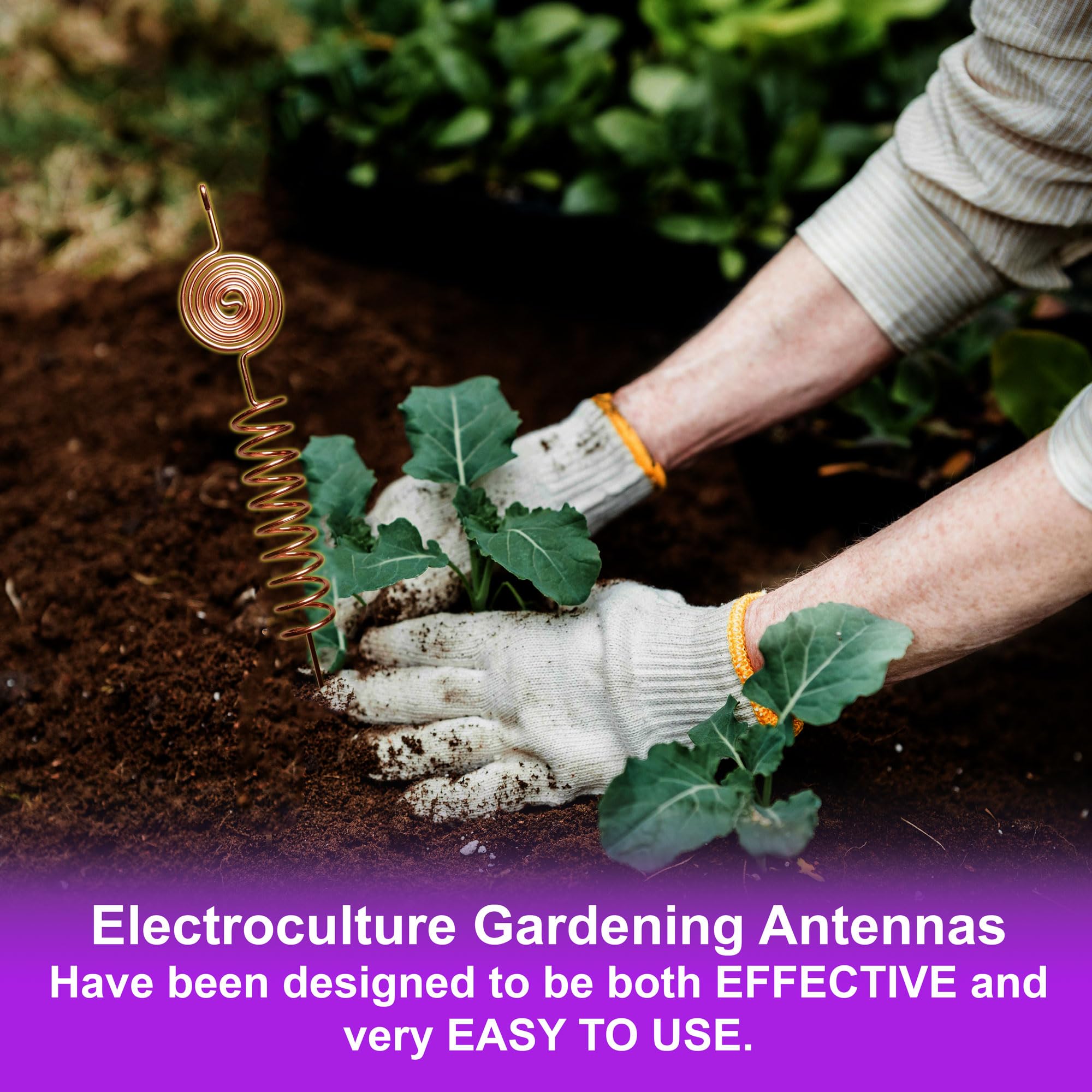 Tesla Coil Set de antenas electrocultivo (paquete de 3) – bobinas de cobre puro de 2,5 mm duraderas, fabricadas con precisión para jardinería, respetuosas con el medio ambiente